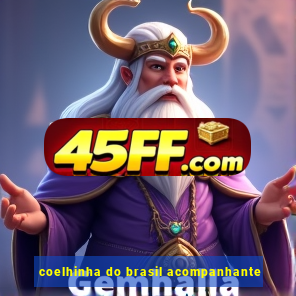 coelhinha do brasil acompanhante